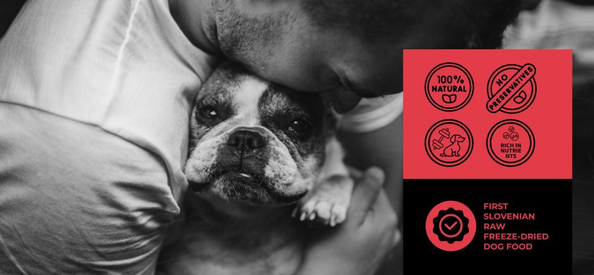 What is Freeze-dried food?