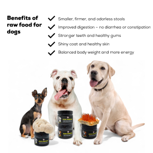 EVER SHROOMS – Freeze-Dried Nutritional Supplement with Medicinal Mushrooms – Cordyceps