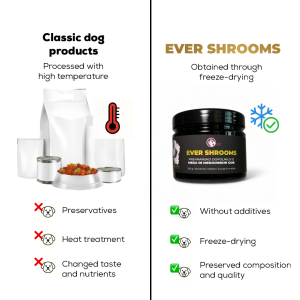 EVER SHROOMS – Freeze-Dried Supplement with Horse meat and Medicinal Mushrooms Lion’s Mane