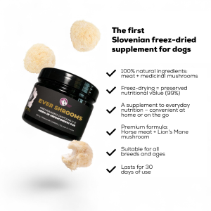 EVER SHROOMS – Freeze-Dried Supplement with Horse meat and Medicinal Mushrooms Lion’s Mane