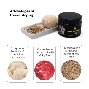 EVER SHROOMS – Freeze-Dried Supplement with Horse meat and Medicinal Mushrooms Lion’s Mane