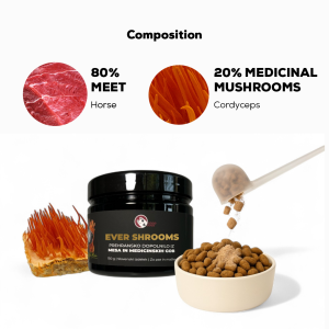 EVER SHROOMS – Freeze-Dried Nutritional Supplement with Medicinal Mushrooms – Cordyceps