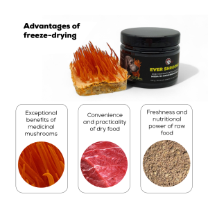 EVER SHROOMS – Freeze-Dried Nutritional Supplement with Medicinal Mushrooms – Cordyceps