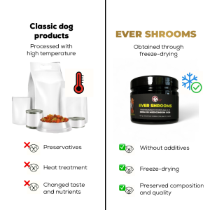 EVER SHROOMS – Freeze-Dried Nutritional Supplement with Medicinal Mushrooms – Cordyceps