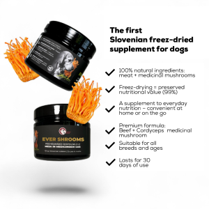 EVER SHROOMS – Freeze-Dried Nutritional Supplement with Medicinal Mushrooms – Cordyceps