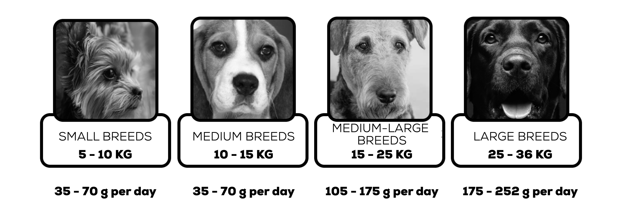 Amount of food for dogs