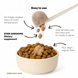 EVER SHROOMS – Freeze-Dried Nutritional Supplement with Medicinal Mushrooms – Cordyceps
