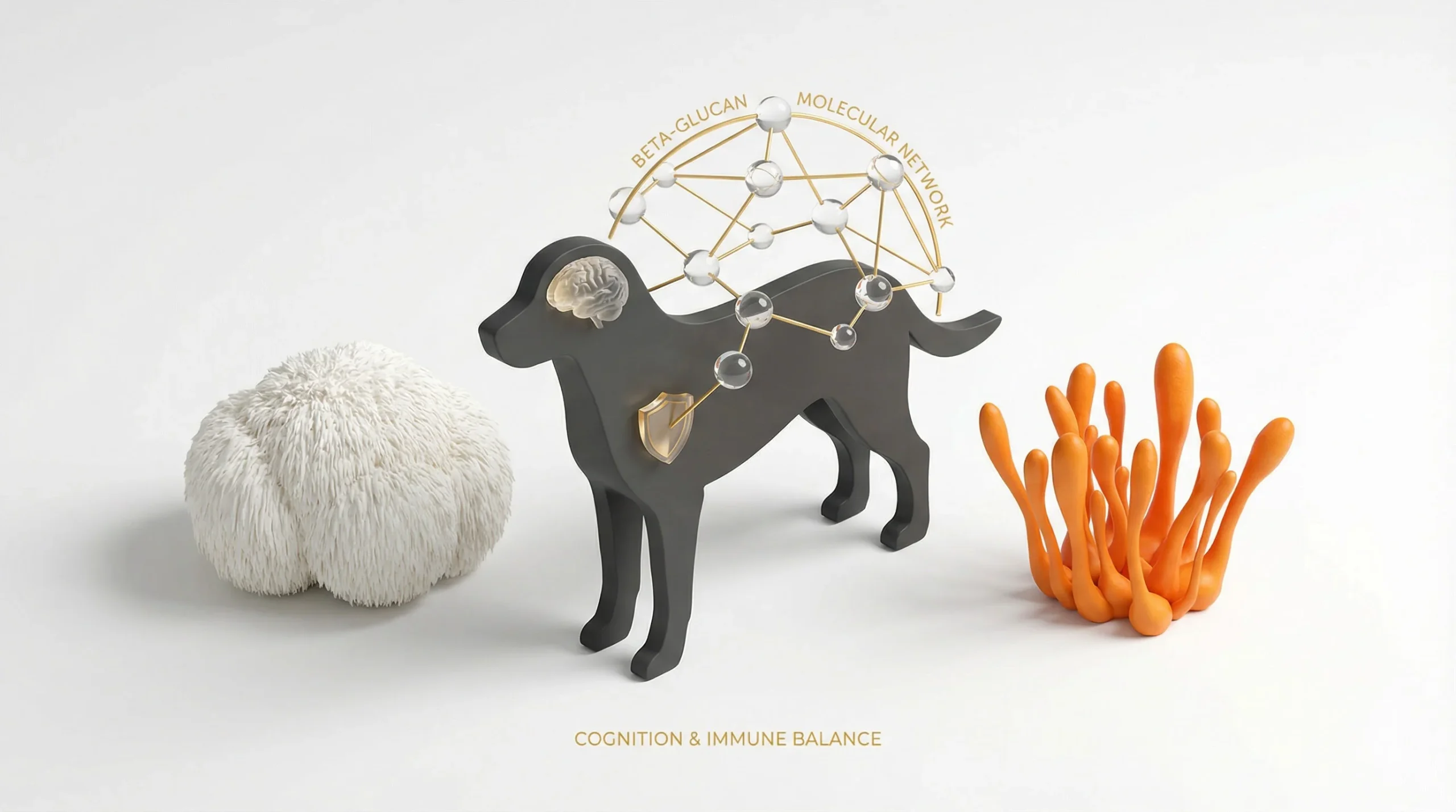 Clean studio 3D render on a white background showing a matte charcoal dog silhouette in three-quarter view. To the left, a highly detailed Lion’s Mane