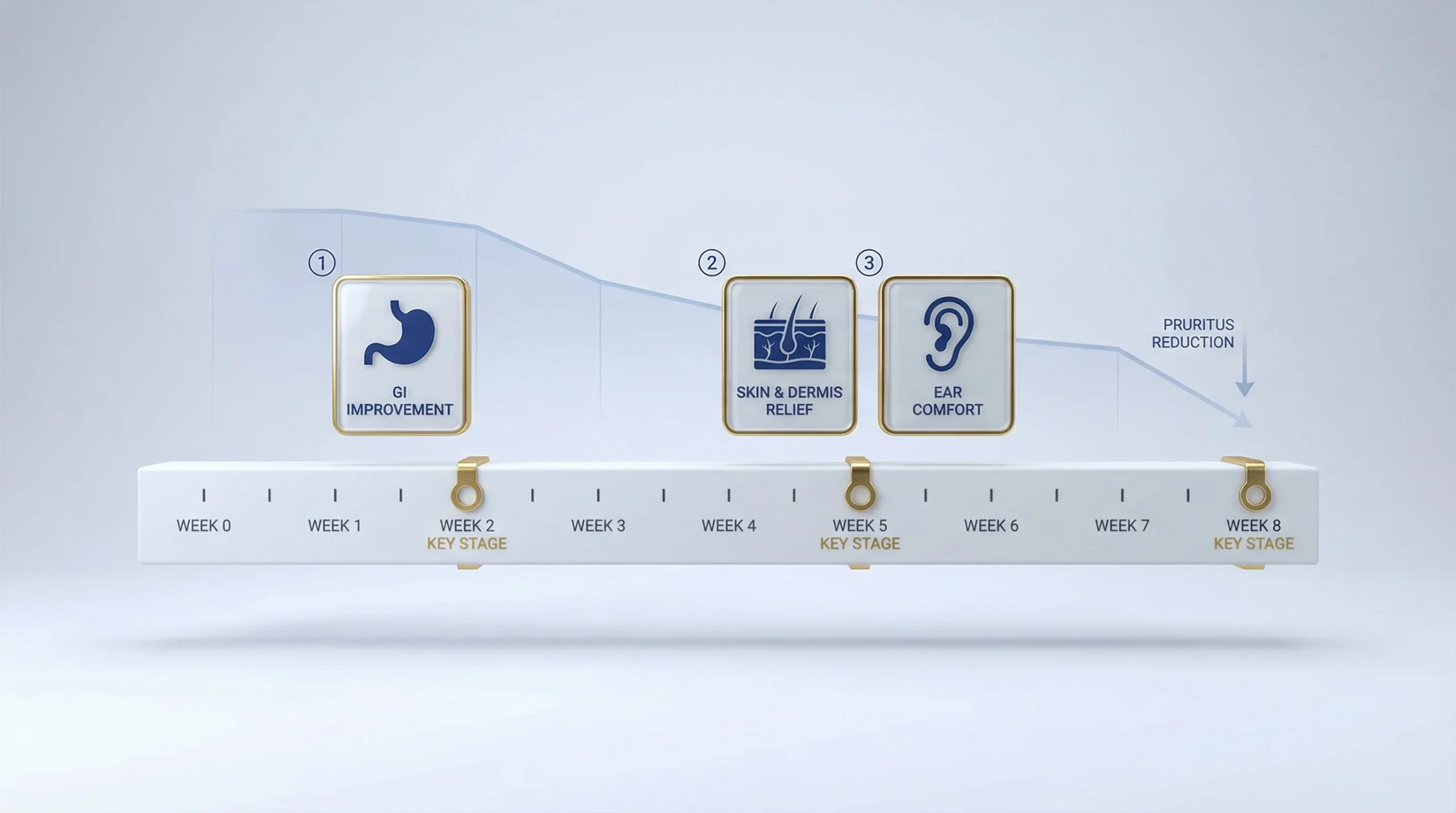 3D render of a sleek horizontal 8‑week timeline on a matte white base bar with subtle tick marks (0–8). Metallic gold highlights emphasize key stages.