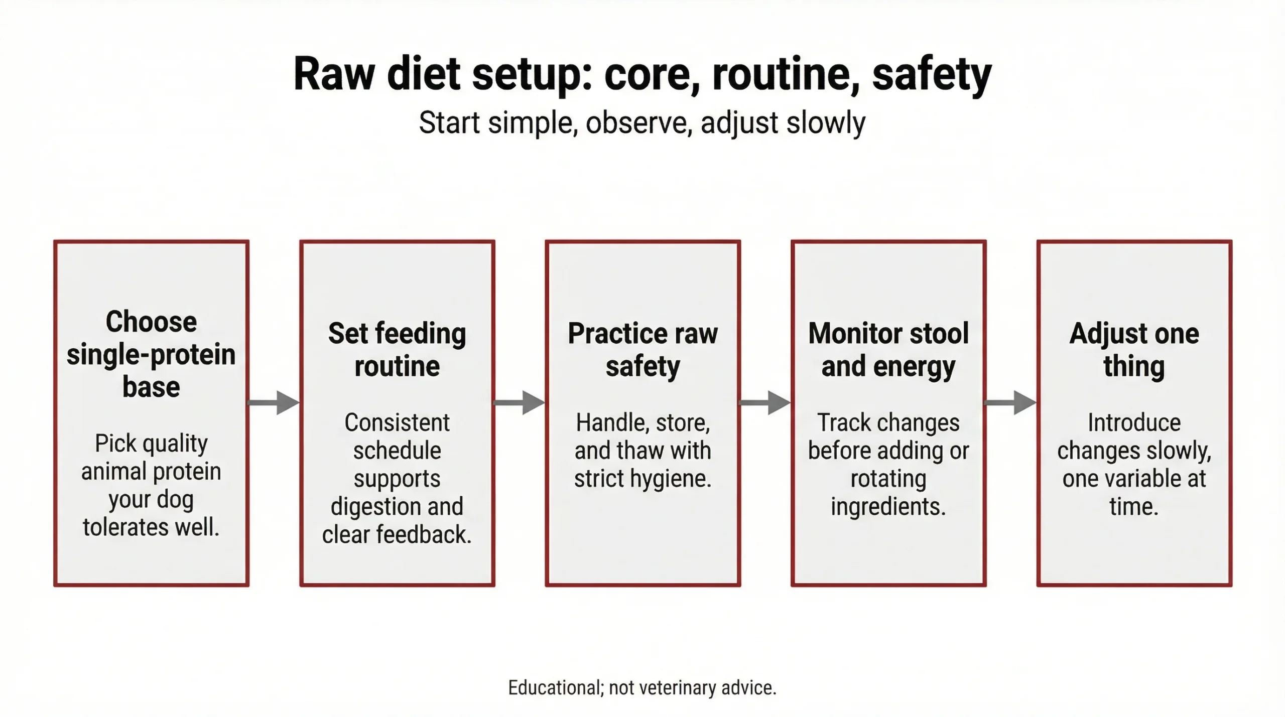 Raw diet setup: core, routine, safety
