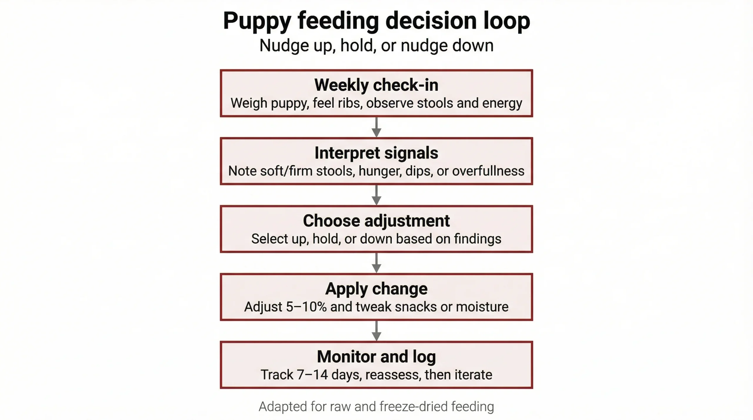 Puppy feeding decision loop