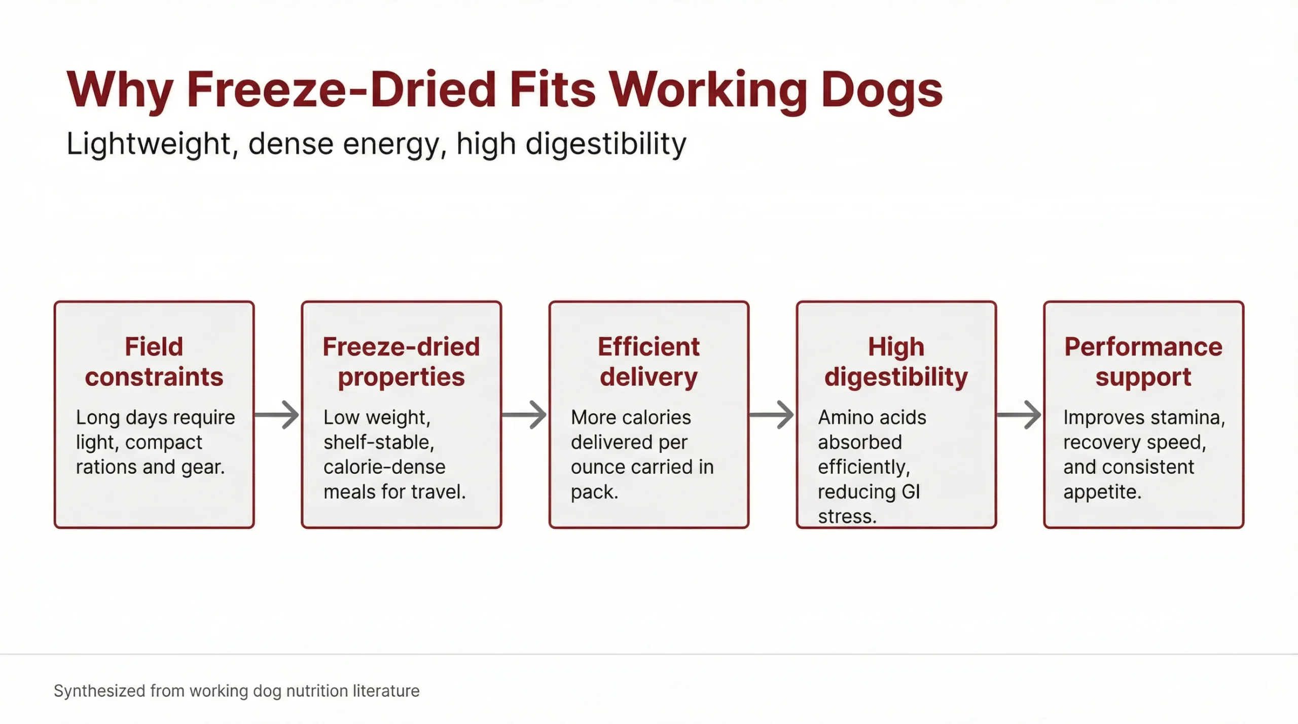 Why Freeze‑Dried Fits Working Dogs