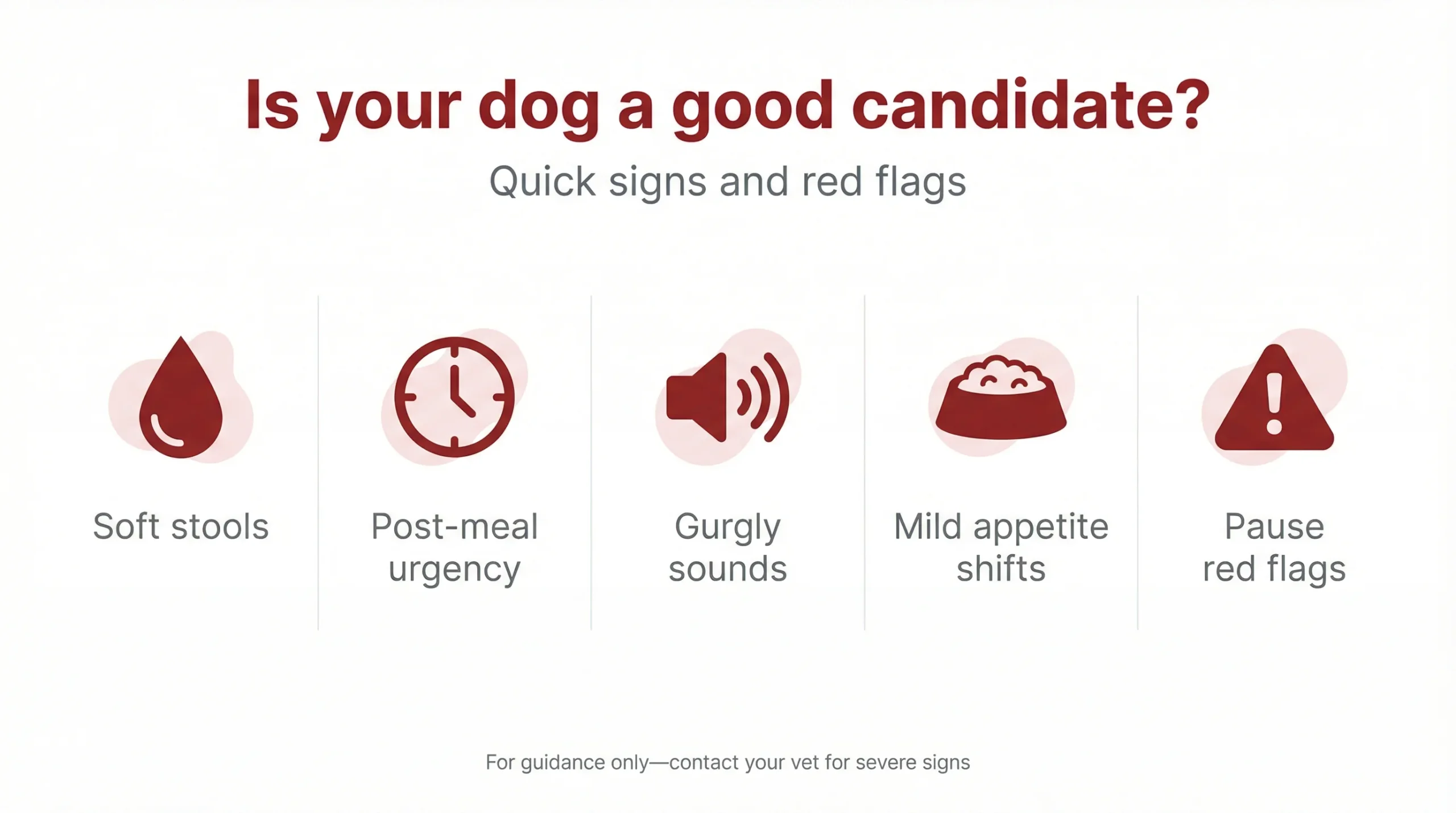 Is your dog a good candidate?
