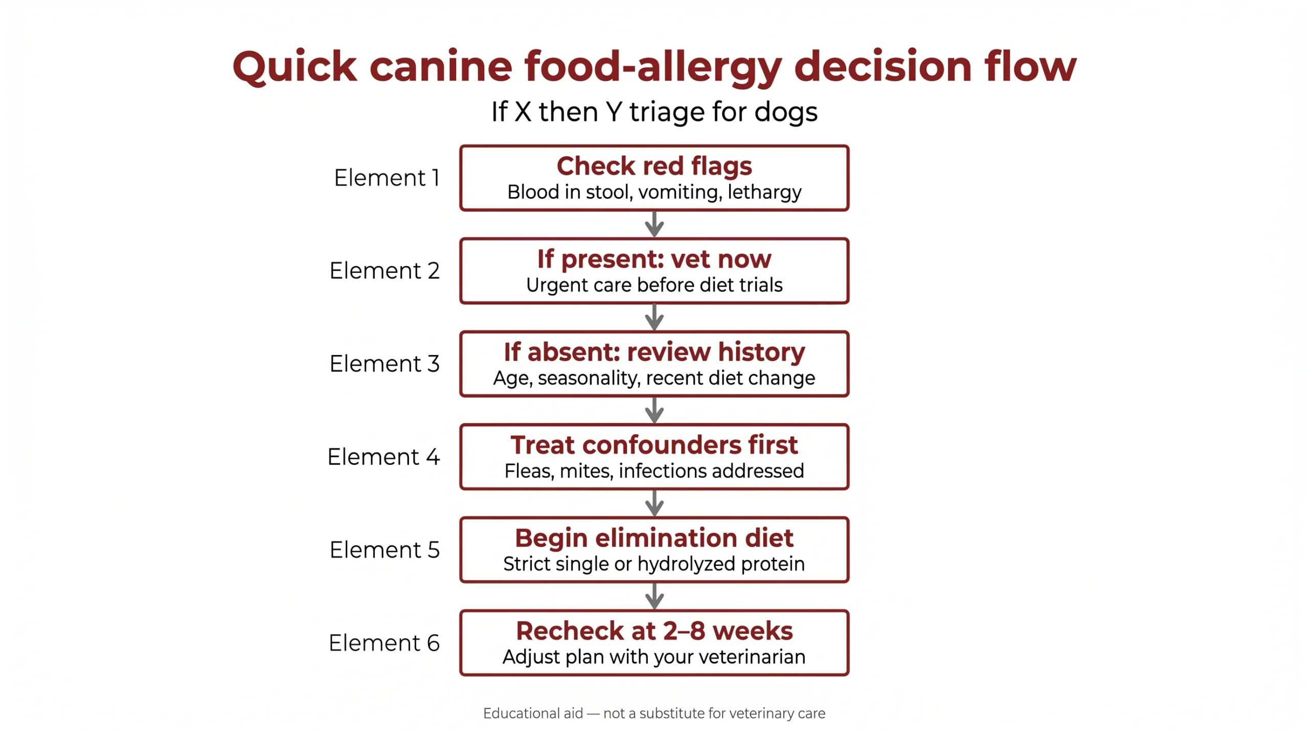 Quick canine food-allergy decision flow