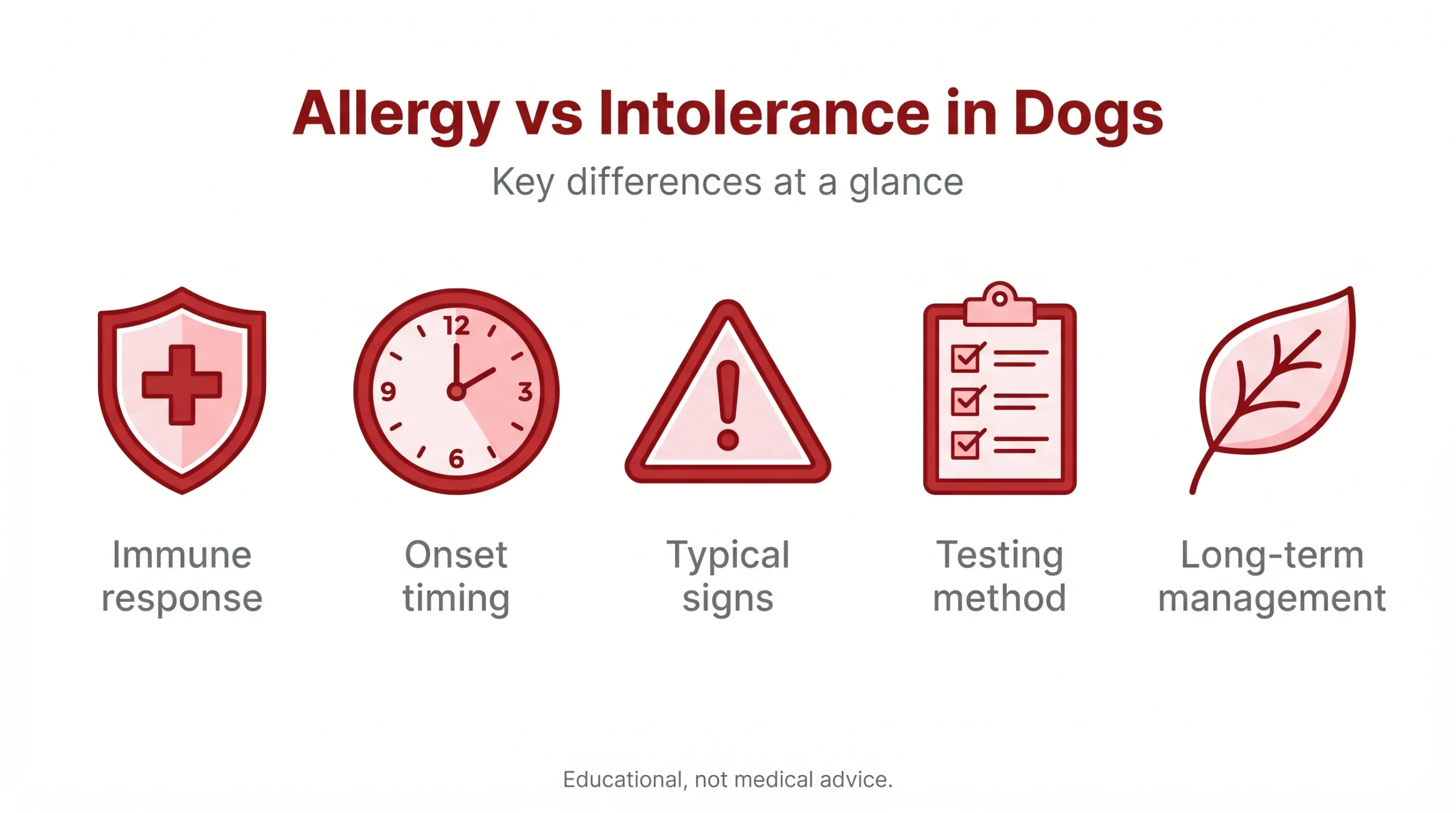 Allergy vs Intolerance in Dogs